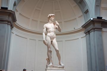 Best of Florence from Rome by High Speed train with Michelangelo's David