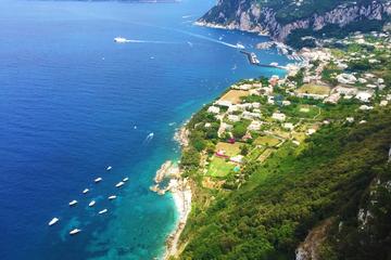 Capri in One Day Small Group Tour with Limoncello tasting