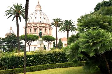Exclusive Half-Day Vatican City Tour with Breakfast and Gardens