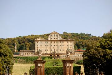 Frascati Wine Tasting Tour from Rome