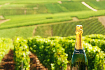 Luxury Champagne Region Day Trip from Paris with Private Champagne Estate Visit