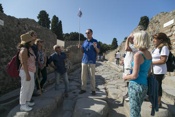 Pompeii and Mt. Vesuvius Day Trip from Naples with Lunch and Wine Tastings