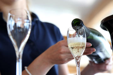Prosecco tasting and Villa with dinner