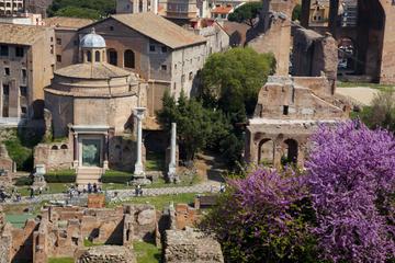 Rome Super Saver: Skip-the-Line Ancient Rome and Colosseum Walking Tour plus Frascati Wine Tasting Tour