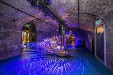 Combination Ticket: EPIC and Irish Family History Centre Tour