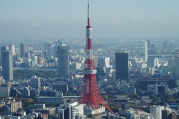Full Day Private Custom Chartered Taxi Tour of Tokyo