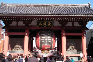 Half-Day Private Custom Chartered Taxi Tour of Tokyo
