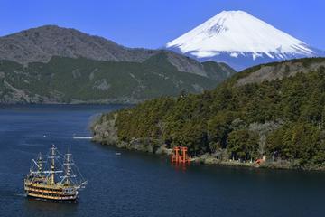 Private Chartered Taxi Tour to Hakone from Yokohama