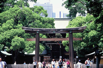 Private Van Tour of Tokyo with Field Trip plus