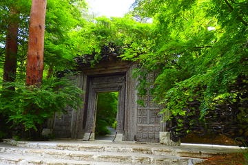 Private Van Tour to Mt Fuji and Lake Kawaguchi with Field Trip plus
