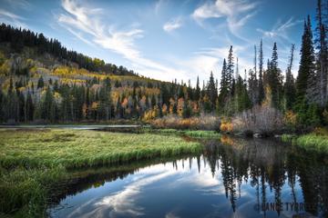 Half-Day Wasatch Mountain Tour From Salt Lake City