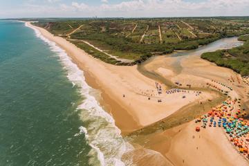 Amazing South Coast's Beaches