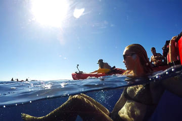 Kauai South Shore Sea Kayak Adventure