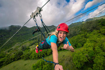 Treehouse Plus Zipline Course