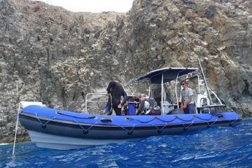 Guided Diving by Boat for Qualified Diver to Turtles, Ray spot