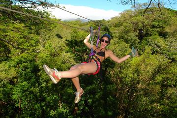 Buena Vista Combo Tour: Ziplining and Hot Springs from Guanacaste