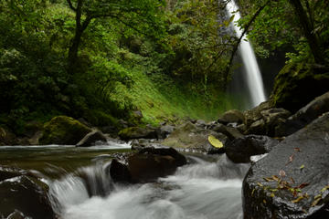 Half-Day La Fortuna Waterfall Horseback Riding Adventure