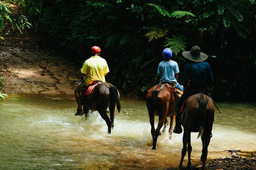 Horseback Riding and Waterfalls from Manuel Antonio
