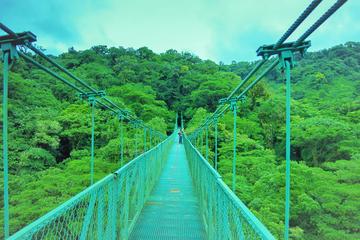 Monteverde Cloud Forest and Hanging Bridges from Guanacaste