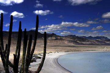 North La Paz Self-Drive Discovery Tour