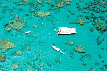Maracajaú Beach Full Day Tour