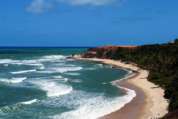 Pipa Beach Full Day Tour