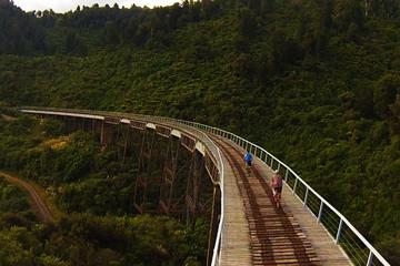 Old Coach Road Self-Guided Bike Tour from Ohakune
