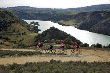 Full-Day Roxburgh Gorge Cycle Tour from Queenstown