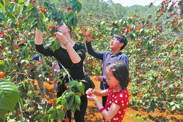 Organic Farm Dinner with Hot Spring Bathing or Seasonal Fruit-picking in Xian
