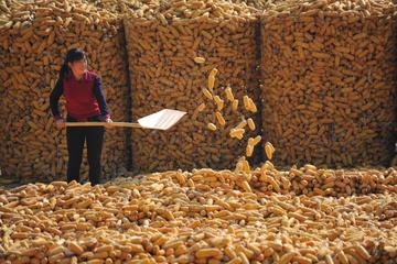Overnight Stay Experience in Xian Farmer Village including Local Activities