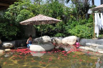 Private Customized Xian City Day Tour with Hot Spring SPA Experience