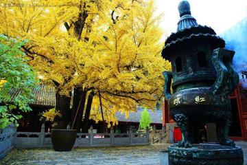 Private Day Tour to Mutianyu Great Wall and Hong Luo Buddhist Temple