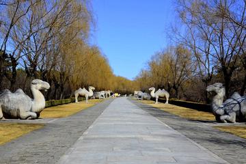 Private Full Day Tour to Mutianyu Great Wall and Ming Tombs from Beijing