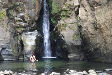 Full-Day Ribeira Grande Hike with Volcano-Cooked Dinner