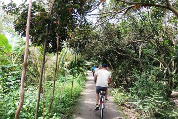 Private tour: the Cai Be Floating Market and Biking tour in Mekong Delta