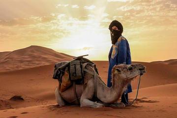 desert tour from Fez to Fez 3 days and 2 nights