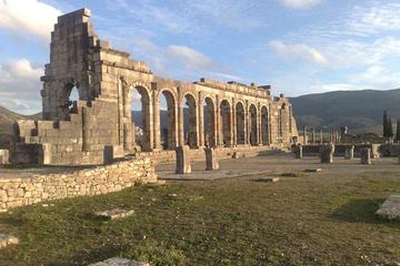 Full-Day Volubilis and Meknes Private Tour from Fez