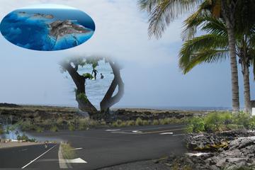 Kona's Lava Bike Tour Adventure