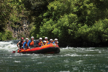 Rangitaiki River White Water Scenic Rafting from Rotorua