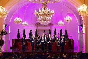 Empress Sisi Sightseeing Combo in Vienna Including Schonbrunn Palace, Hofburg Palace, Dinner and Orangery Concert