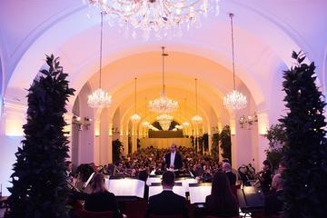 Schönbrunn Palace Evening: Palace Tour, Dinner and Concert