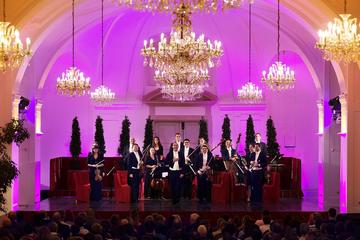Vienna Combo: Danube River Cruise, Dinner and Schonbrunn Palace Concert