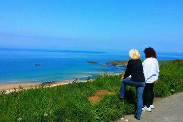 Executive MPV 4-7 people Giants causeway and Game of thrones locations 1-7