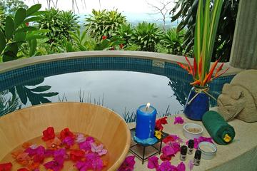 Waterfall and Spa Day Tour: San Jose