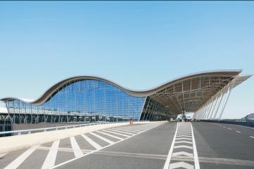 Airport Elite VIP Express Service- International Flight