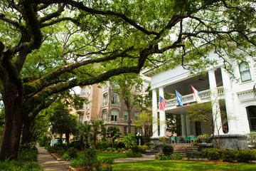 New Orleans City Express Tour