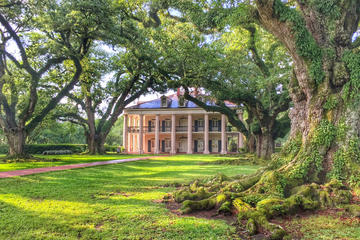 Plantation Brunch and Swamp Experience from New Orleans