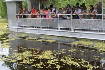 Swamp and Bayou Sightseeing Tour with Boat Ride from New Orleans