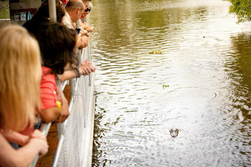 VIP Swamp Tour with Survival Kit from New Orleans