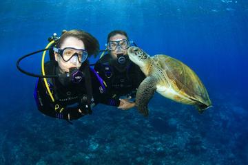 Gold Coast Scuba Diving Experience on Wave Break Island